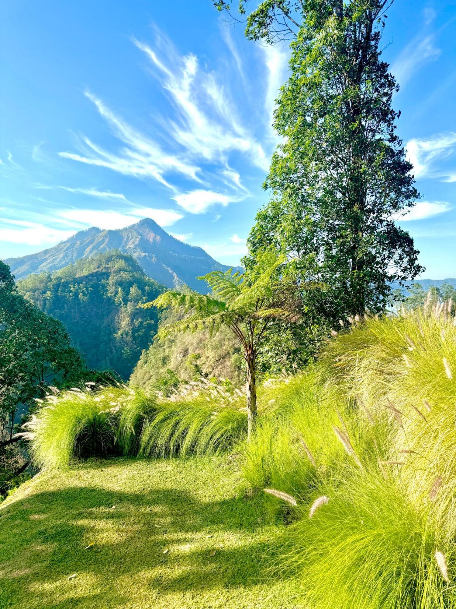 Alengkong Bali Camp Otel Bangli Dış mekan fotoğraf